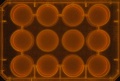 Thumbnail for version as of 16:36, 14 December 2011