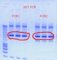 Thumbnail for version as of 14:58, 21 November 2011