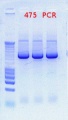 Thumbnail for version as of 15:03, 29 November 2011