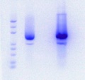 Thumbnail for version as of 14:50, 16 June 2017