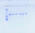 Thumbnail for version as of 14:10, 1 July 2016