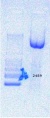 Thumbnail for version as of 17:28, 5 October 2016