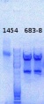 Thumbnail for version as of 13:44, 4 November 2013