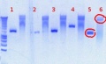 Thumbnail for version as of 15:16, 24 August 2012