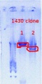 Thumbnail for version as of 09:16, 23 October 2012