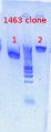 Thumbnail for version as of 16:46, 3 December 2012