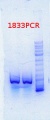 Thumbnail for version as of 09:47, 30 August 2013