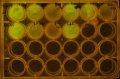 Thumbnail for version as of 12:22, 26 January 2014