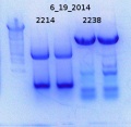 Thumbnail for version as of 13:05, 22 August 2014