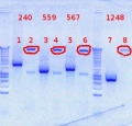 Thumbnail for version as of 14:17, 18 October 2012