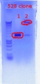 Thumbnail for version as of 14:35, 4 January 2012