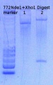Thumbnail for version as of 10:47, 29 April 2015