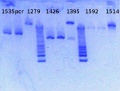 Thumbnail for version as of 15:20, 8 March 2013