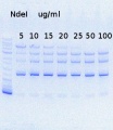 Thumbnail for version as of 17:12, 1 October 2013