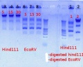 Thumbnail for version as of 13:50, 17 December 2012