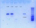 Thumbnail for version as of 10:09, 22 June 2016