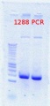 Thumbnail for version as of 11:45, 21 August 2012