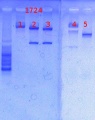 Thumbnail for version as of 13:59, 10 May 2013