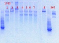 Thumbnail for version as of 13:19, 12 June 2013