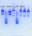 Thumbnail for version as of 15:00, 17 January 2014