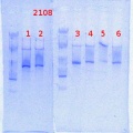 Thumbnail for version as of 09:44, 18 March 2014