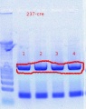 Thumbnail for version as of 16:37, 18 October 2011