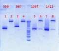 Thumbnail for version as of 16:25, 9 October 2012