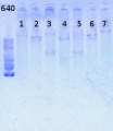 Thumbnail for version as of 15:33, 21 June 2013