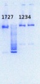 Thumbnail for version as of 14:18, 31 July 2013