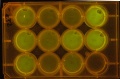 Thumbnail for version as of 17:49, 19 February 2011
