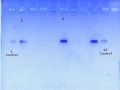 Thumbnail for version as of 10:27, 22 June 2016