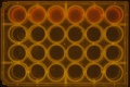 Thumbnail for version as of 15:37, 15 April 2016