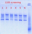 Thumbnail for version as of 10:14, 17 July 2012