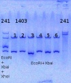 Thumbnail for version as of 11:33, 10 June 2014