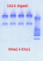 Thumbnail for version as of 14:34, 27 February 2013