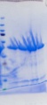 Thumbnail for version as of 17:52, 6 November 2014