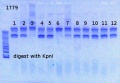 Thumbnail for version as of 11:34, 3 July 2013