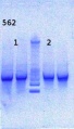 Thumbnail for version as of 16:47, 1 May 2013