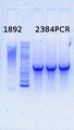 Thumbnail for version as of 15:26, 26 November 2014