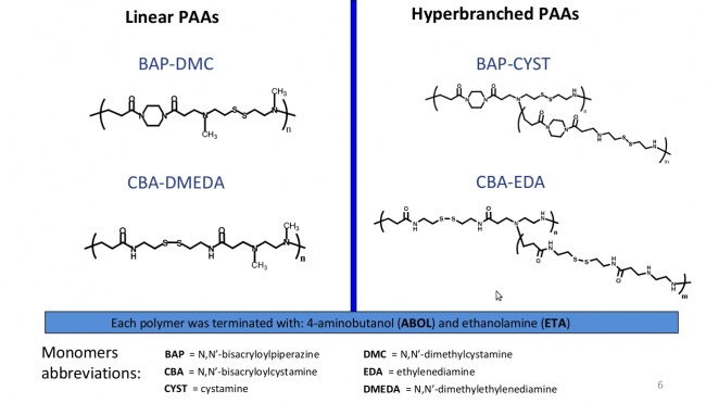 Linear paa vs branched paa.jpg