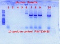 Thumbnail for version as of 08:44, 13 June 2012