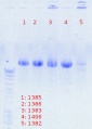 Thumbnail for version as of 18:42, 14 October 2012
