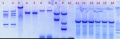 Thumbnail for version as of 16:33, 19 August 2011