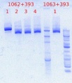 Thumbnail for version as of 14:26, 10 May 2012