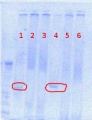 Thumbnail for version as of 14:41, 3 January 2013