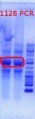 Thumbnail for version as of 15:43, 17 May 2012