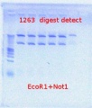 Thumbnail for version as of 16:10, 2 August 2012