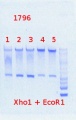 Thumbnail for version as of 11:05, 18 July 2013