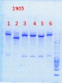 Thumbnail for version as of 14:18, 20 December 2013