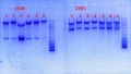 Thumbnail for version as of 17:05, 2 January 2014
